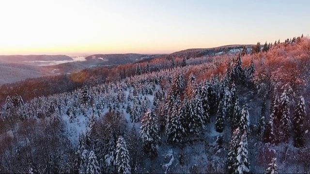✅ Как забыть и разлюбить ЛОБОВНИЦУ - ВОТ ПОЧЕМУ они опасны, ты будешь в ужасе! смотреть онлайн