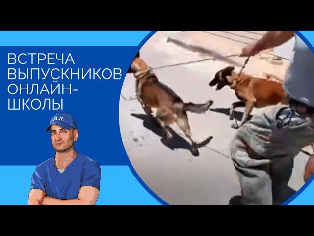 Встреча выпускников онлайн-школы "Искусство общения с собакой"(часть 2) смотреть онлайн