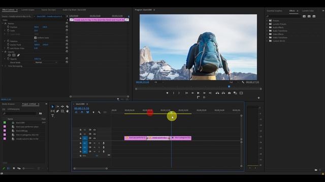 How To Resize Images Automatically In Premiere Pro смотреть онлайн