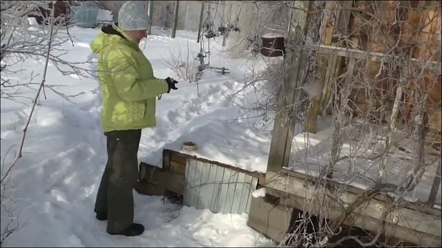 зимняя прогулка на дачу смотреть онлайн