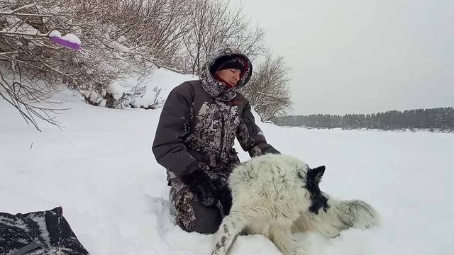 Опять за старое. Без этой ИЗБЫ не обойтись. Таёжный быт рыбака. смотреть онлайн