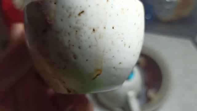 Узоры судьбы. Гадание на кофейной гуще. смотреть онлайн