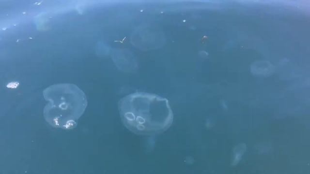Балаклава каяки смотреть онлайн