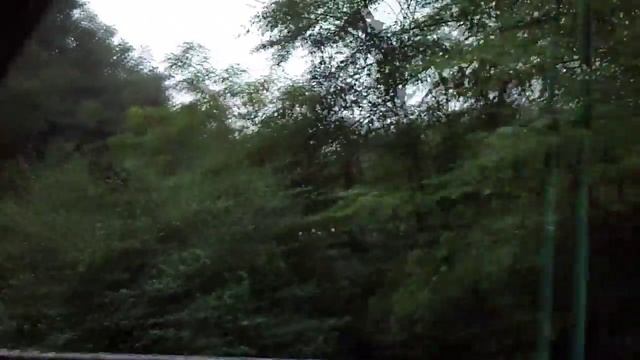 Projížďka Vláčkem Důl Anselm - Landek