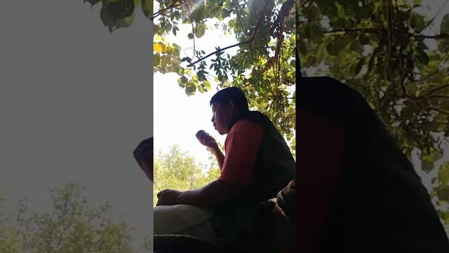 Tarakan(3) смотреть онлайн