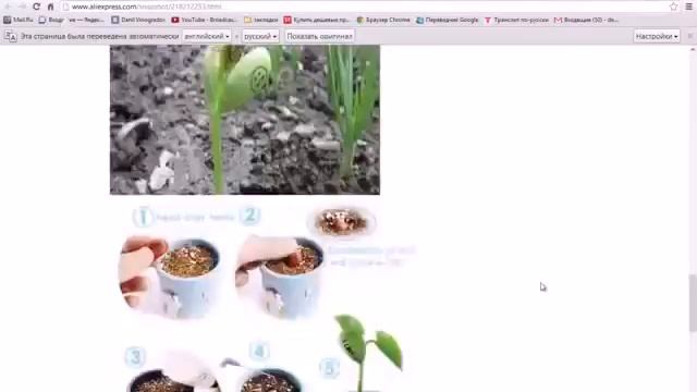 Как правильно оформить заказ на Aliexpress. смотреть онлайн