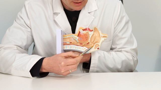 КАШЕЛЬ И СОПЛИ. Может ли быть кашель от соплей?