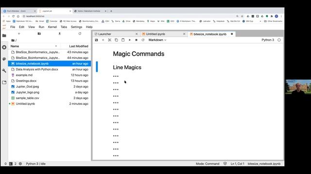 BiteSize Bioinformatics: Experimenting with JupyterLab смотреть онлайн