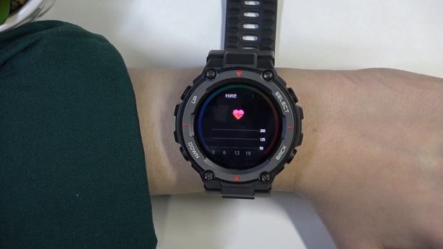Amazfit T Rex Pro | Как измерить пульс при помощи часов Amazfit T Rex Pro смотреть онлайн