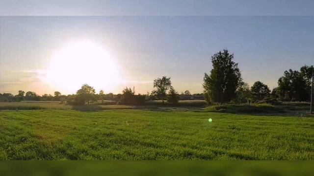 С Новым Вас 2023 годом!!! смотреть онлайн
