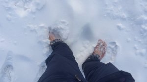 Почему болят стопы и как вылечить стопы с помощью снега и упражнений!