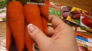 САМЫЕ ЛЮБИМЫЕ УРОЖАЙНЫЕ СОРТА ЗЕЛЕНИ И ОВОЩЕЙ для сезона 2021г! Проверены временем. Обзор.