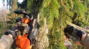 Арбористика‼️Как спилить 25 метровое  дерево? на участке, что бы ни чего не пострадало?