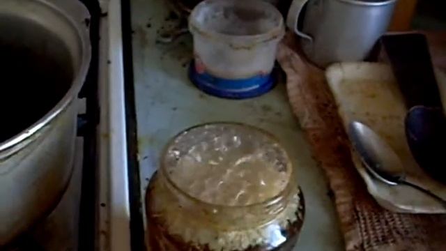 Цирковые Представления и Шоу