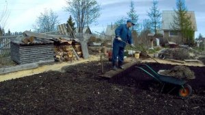 посадка картофеля в торф дача под Архангельском