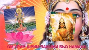 ОМ ХРИМ ШРИМ ЛАКШМИ БЬО НАМАХА