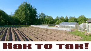 "Она важна" для индюков,  стаду кур - новую территорию, плантацию "накрыли"!