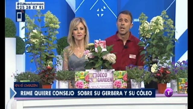 Ángel Agudo. Jardinero Decogarden. смотреть онлайн