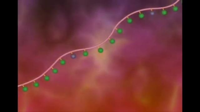 Структура и денатурация белков анимация смотреть онлайн