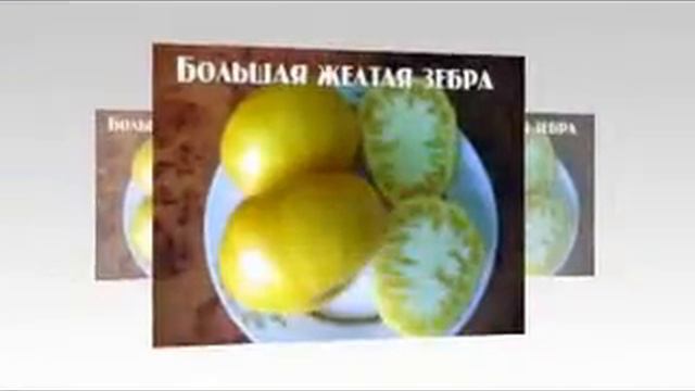 семена помидор каталог смотреть онлайн