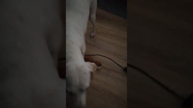 Мила заигралась и забыла про режим ) смотреть онлайн