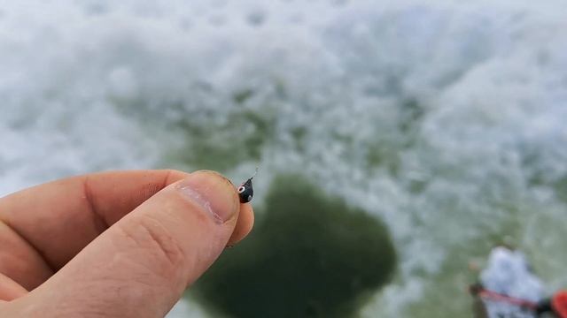Ловля форели в пруду зимой смотреть онлайн