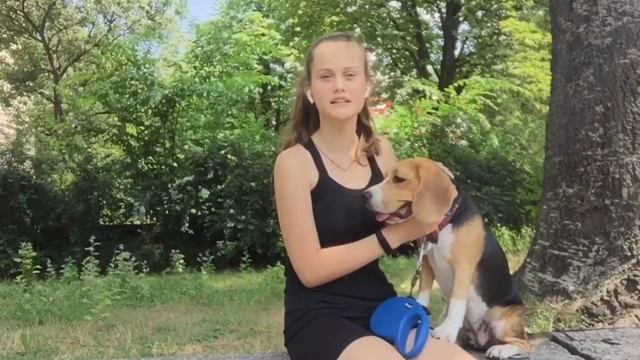 Секреты Творческой Гениальности