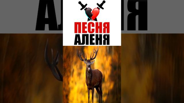 ТА САМАЯ, ТРОГАТЕЛЬНАЯ ПЕСЕНЬ смотреть онлайн