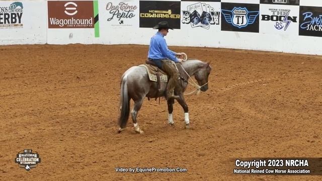SLR Smart As A Cat shown by John Swales 2023 celebration of champions Open Hackamore, Finals смотреть онлайн