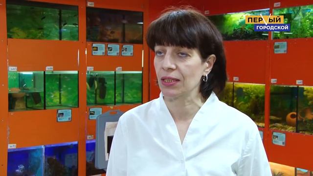 ПОПОЛНЕНИЕ У ПРЕСМЫКАЮЩИХСЯ смотреть онлайн