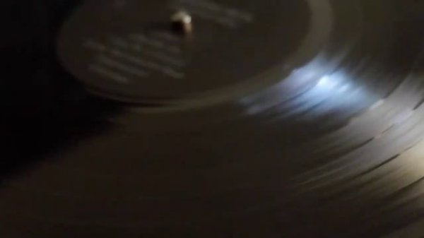 The Shocking Blue - Shocking You