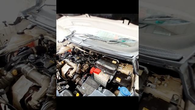 Ford Ecosport services is@ best service## смотреть онлайн