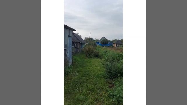 Продается ДОМ в Ленинградской области, в 90 км. от Питера смотреть онлайн