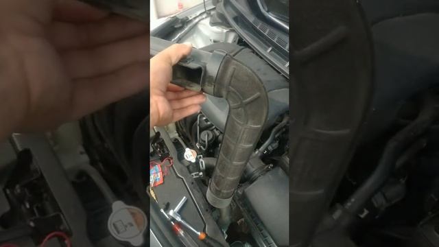Probable falla de la caja de filtro de Kia forte смотреть онлайн
