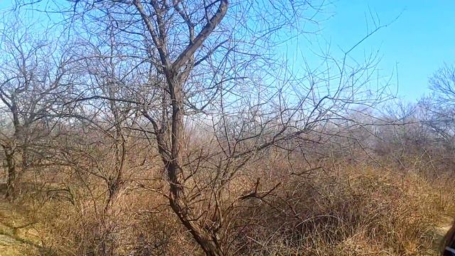 ГРУЗИЯ 2019 ТБИЛИСИ/ТУРИСТЫ ЗДЕСЬ НЕ ХОДЯТ/TBILISI 2019 GEORGIA/ ОТДЫХ В ГРУЗИИ смотреть онлайн