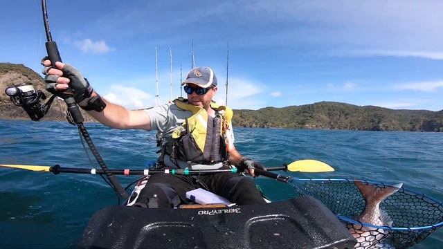Valentines Day Snapper Hunting - NZ New Zealand Kayak Fishing - Viking Profish Reload смотреть онлайн