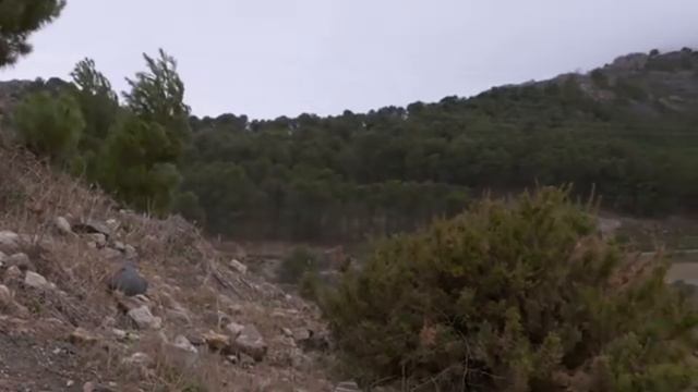 2020 Mercedes GLB Diesel (200d & 220d) - Driving смотреть онлайн