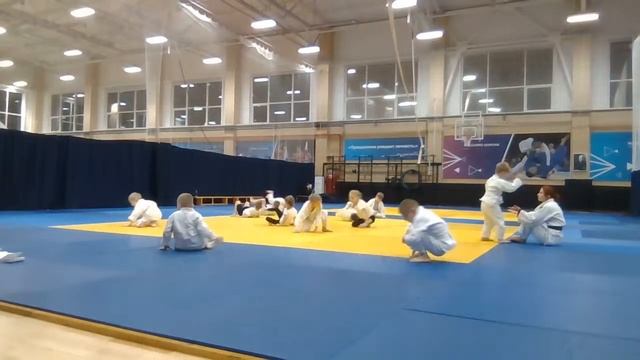 Тренировка по дзюдо младшей группы (23.11) - 19:30 смотреть онлайн