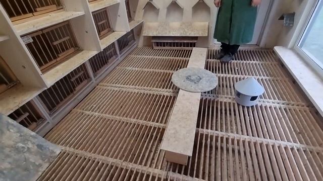 13 ноября 2021 г. смотреть онлайн