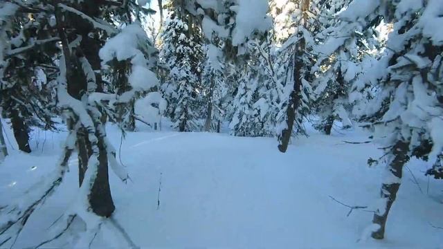 Шерегеш. Фрирайд в лесу. смотреть онлайн