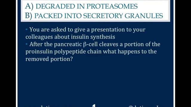 1645: Degraded in Proteasomes or Packed Into Secretory Granules смотреть онлайн