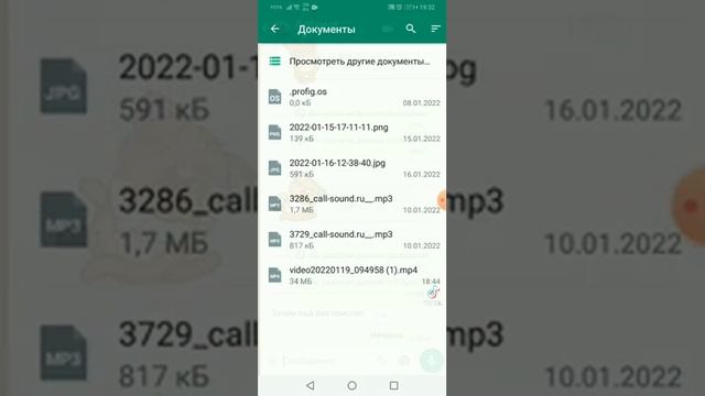 как отправить по ватцапу длинное видео в 2022 году #pallasovskystreamer #ватцап #shtors #гайд смотреть онлайн