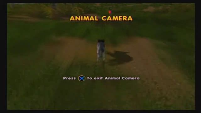 Cabela's Big Game Hunter 2005 Adventures: Grassland - Grey Wolf Hunt смотреть онлайн