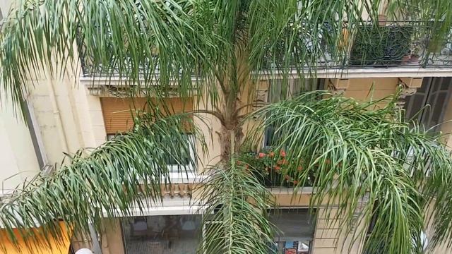 Монте-Карло. Monaco. (советы и рекомендации) смотреть онлайн