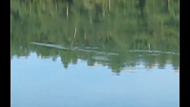 peche carpe 9 08 2012 смотреть онлайн