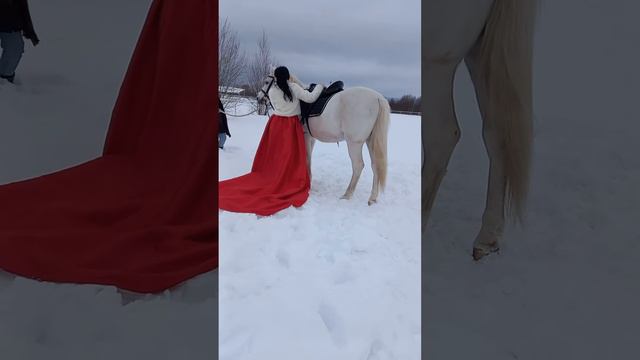 фотосессия с лошадью под ключ Йошкар-Ола