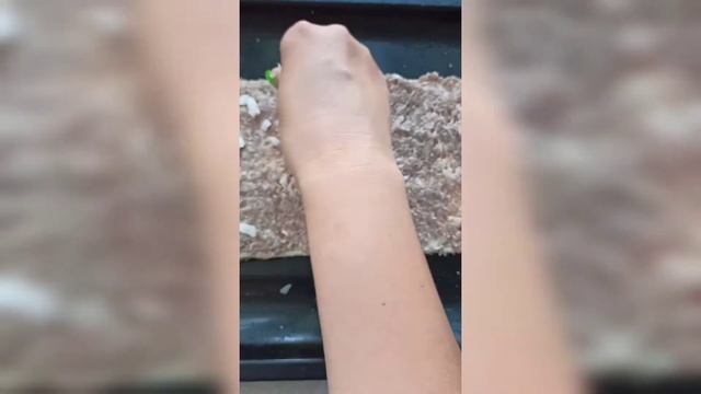 Вкусный мясной тортик !!! смотреть онлайн