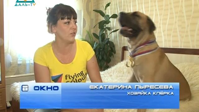 26 06 14 Окно в мир животных смотреть онлайн