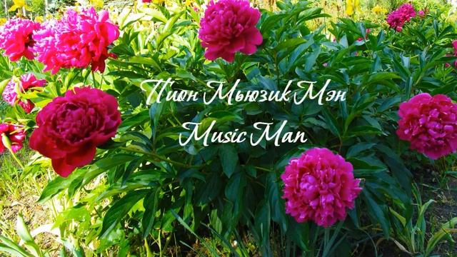 Peony Flowering | Types Of Peony Flowers | Peony Varieties Names