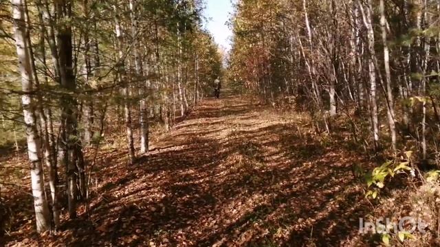 22.09.22 Влог-мой вкусный похудейский рацион-пошли в лес за грибами. смотреть онлайн